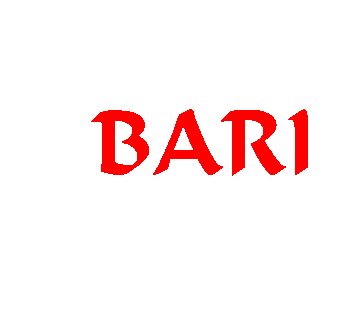 Barinetwork.it