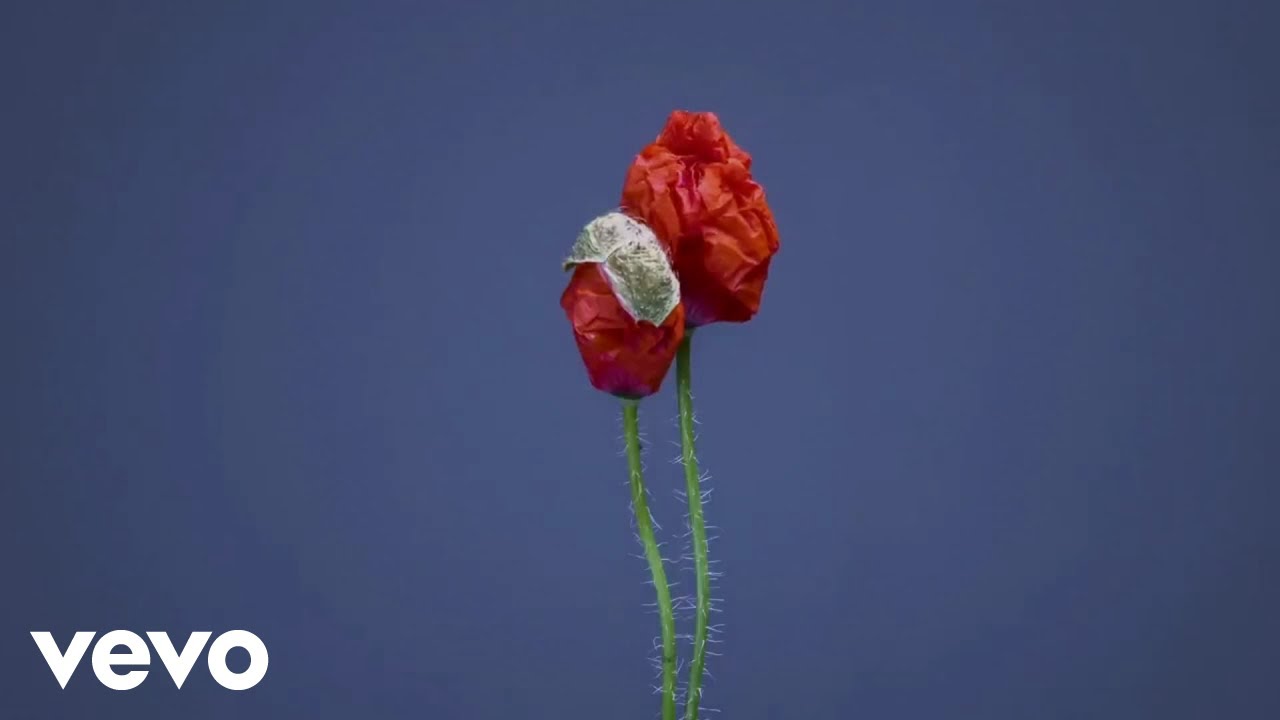 youtube placeholder image